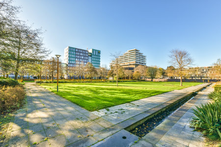 a park with buildings in the background and green grass on the ground to the right, there is a blue...