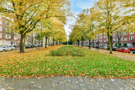 leaves on the ground in front of some buildings and trees with yellow leaves covering the ground, amsterdam, netherlands stock photoのeditorial素材