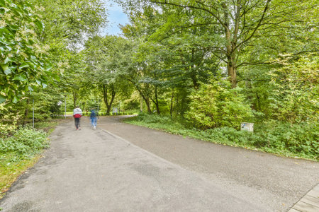 two people walking down a path in the woods on a sunny day with blue sky and green trees behind themのeditorial素材