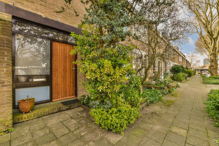 the outside of a house with plants growing on its side and trees in the front yard to the rightの写真素材