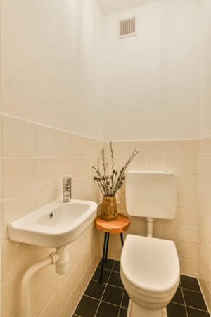 a bathroom with white walls and black tile flooring, there is a plant on the toilet seat next to the...
