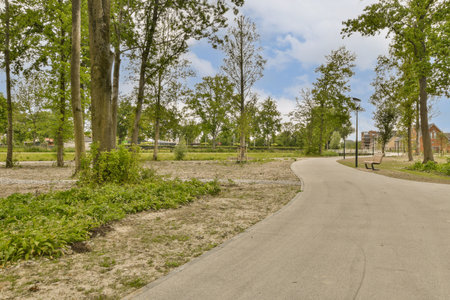an empty street in the middle of a residential area with lots of trees and bushes on either side of...