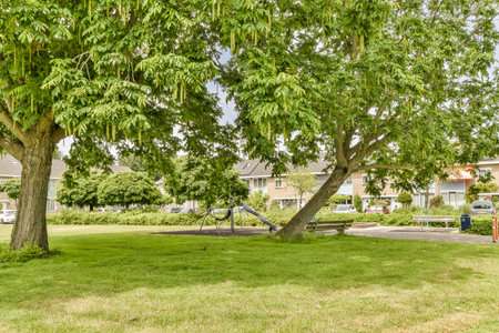 a park with trees and houses in the background on a sunny day, taken from an angleers perspectiveの写真素材