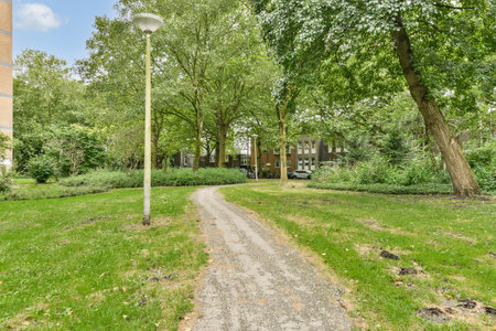 A serene pathway meanders through a lush garden, flanked by vibrant trees and verdant foliage. The...
