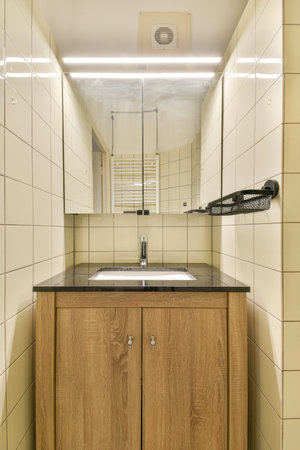 A stylish bathroom featuring a sleek sink, wood cabinetry, and a mirrored back wall. The overall...
