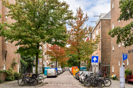 A peaceful city street lined with trees showcasing stunning autumn foliage, surrounded by parked cars and bicycles, evoking a sense of tranquility.の写真素材
