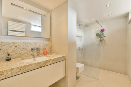 Sleek and contemporary bathroom showcases a stylish marble countertop, equipped with a spacious shower area and decorative plant accents for a serene ambiance.の写真素材