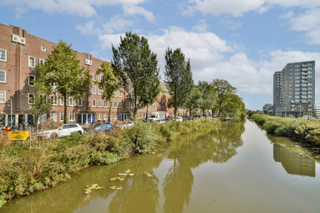 A tranquil urban scene showcasing a waterway flanked by tall trees and modern buildings, reflecting a serene environment amidst city life.の写真素材