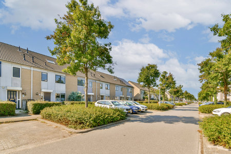 A picturesque residential street lined with trees and parked cars, showcasing a blend of nature and suburban architecture under a clear blue sky.の写真素材