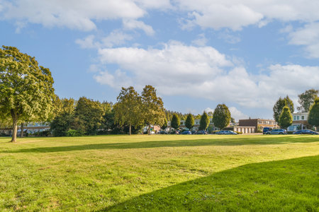 A picturesque park scene featuring lush greenery, trees, and residential buildings under a bright blue sky, perfect for relaxation and leisure activities.の写真素材