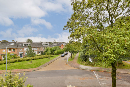 A picturesque view of a serene residential street featuring green lawns, well-kept gardens, and a tranquil atmosphere. Perfect for nature lovers and homeowners.の写真素材