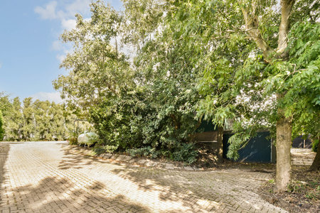 A beautiful outdoor scene featuring a charming pathway bordered by trees and vibrant foliage under a clear blue sky.の写真素材