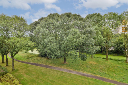 A serene view of a green park featuring numerous trees, a winding pathway, and a tranquil pond, under a cloudy sky, showcasing the beauty of nature.の写真素材