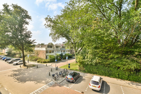 A vibrant urban scene featuring lush trees, parked bicycles, and cars alongside a residential area, showcasing natures beauty in a city setting.の写真素材