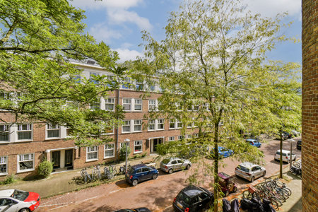A vibrant urban landscape showcasing trees lining a street filled with parked bicycles and cars under a clear sky, exemplifying city life and natures blend.の写真素材