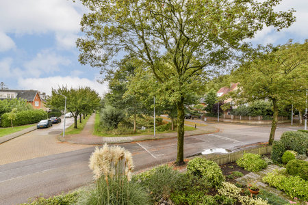 A tranquil neighborhood scene featuring well-maintained trees, gardens, and streets under a partly cloudy sky, creating a serene atmosphere.の写真素材