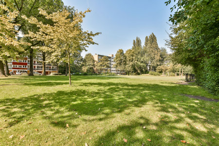 Lush green grass and vibrant trees characterize this peaceful urban park, perfect for relaxation and outdoor activities. The clear blue sky enhances the tranquil atmosphere.の写真素材