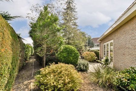 A scenic view of a beautifully landscaped garden pathway adjacent to a modern home, featuring various plants and greenery.の写真素材