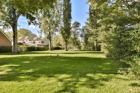 A tranquil park scene featuring tall trees, vibrant green grass, and charming houses in the background, perfect for relaxation and nature appreciation.の写真素材