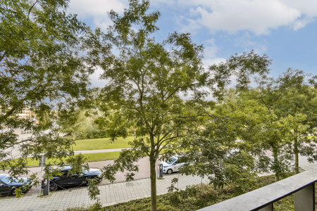 Vibrant green trees provide a natural frame for a serene view of parked cars, showcasing a blend of nature and urban life in a peaceful setting.の写真素材