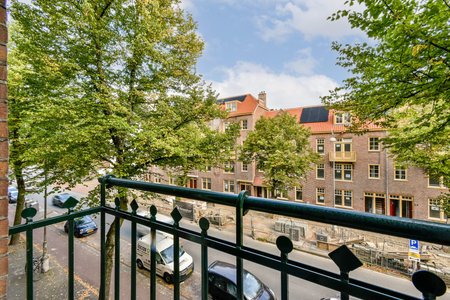 A picturesque street scene featuring lush green trees alongside historic buildings, creating a vibrant urban atmosphere. The charming architecture adds character to the view.の写真素材