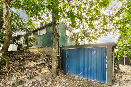 This image captures a quaint outdoor shed, nestled among vibrant trees and foliage, creating a serene and natural setting ideal for relaxation and creativity.の写真素材