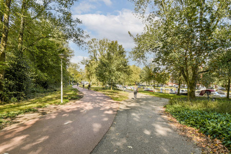 A peaceful scene featuring two distinct pathways in a lush green park surrounded by trees and soft sunlight filtering through the leaves.の写真素材
