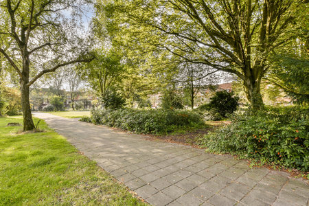 A beautiful park pathway gently winds through vibrant green trees and bushes, creating a tranquil outdoor setting ideal for relaxation and nature appreciation.の写真素材
