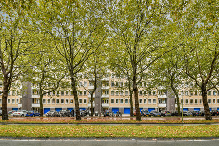 Lush green trees line a street in an urban environment, showcasing contemporary architecture and parked cars in a serene setting.の写真素材