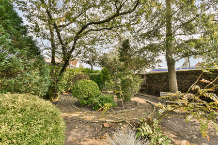 A vibrant home garden showcasing a variety of plants, bushes, and trees, creating a serene outdoor space filled with greenery and natural beauty.の写真素材