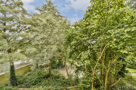 A vibrant scene showcasing dense trees and lush foliage under a bright, blue sky, highlighting natures beauty and tranquility.の写真素材