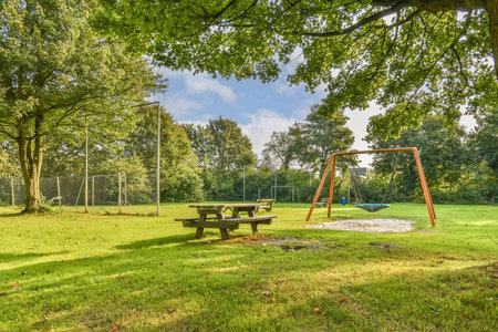 A tranquil park scene featuring a swing set, picnic table, and lush greenery, perfect for relaxation and play in nature.の写真素材