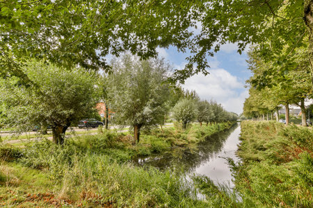 A tranquil scene featuring a tree-lined pathway alongside a serene waterway, surrounded by lush greenery and vibrant foliage, ideal for nature lovers.の写真素材