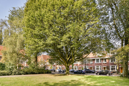 A vibrant neighborhood scene featuring lush green trees, residential buildings, and parked cars, creating a peaceful urban environment.の写真素材