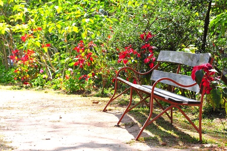 Bench in parkの写真素材