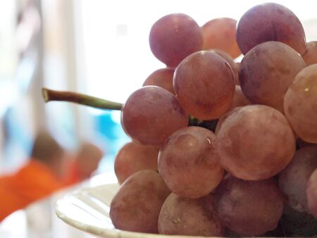 Red grapesの写真素材