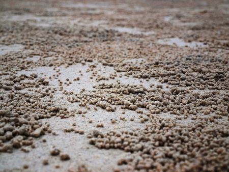 grain sandの写真素材