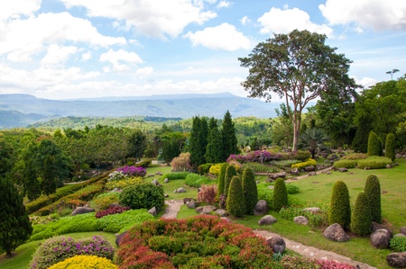 Beautiful garden of colorful flowers on hillの写真素材