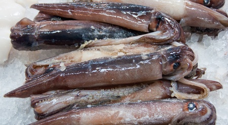 fresh squid in the market.の写真素材