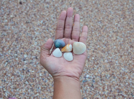 holds a handful of sea shells.の写真素材