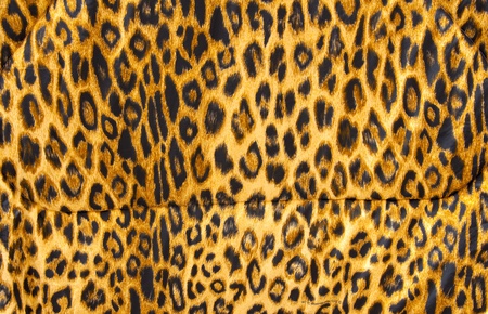Leopard skin pattern soft blanket material.の写真素材