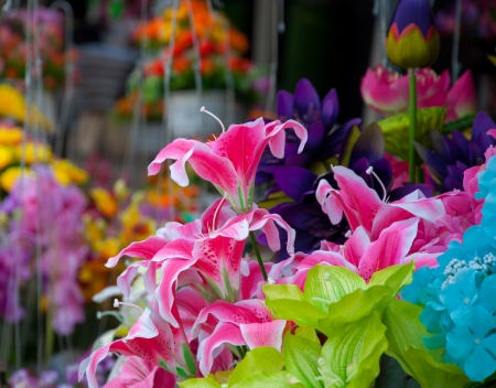 flower of the fabric, floral background.の写真素材