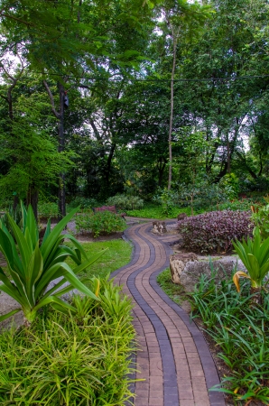 Pedestrian walkway for exercise with trees in park.