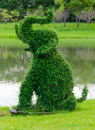 Small leaf tree can force to shape same to elephant in the park.の写真素材