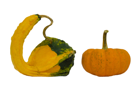 Fancy yellow pumpkin isolated on white background.の写真素材