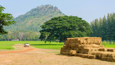 Haystack trees Mountain, beautiful countryside landscape.の写真素材
