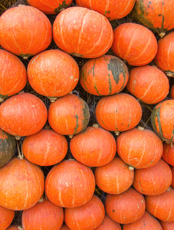 pumpkin on ground with dry straw.の写真素材