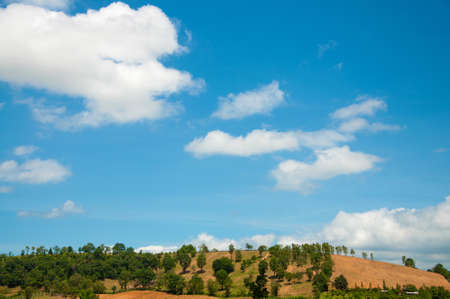 summer mountains green grass and blue sky landscape.