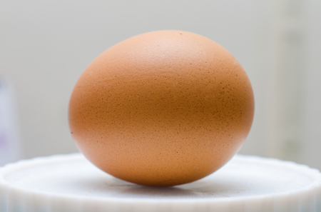 chicken egg isolated on white background.の写真素材