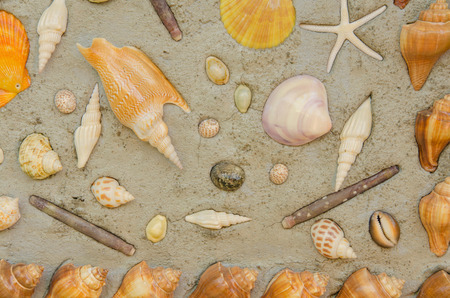 Starfish and shells to decorate on cement wall.の写真素材